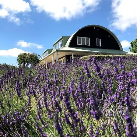 Bed and Breakfast Lavender Hill Riverhead Екстер'єр фото