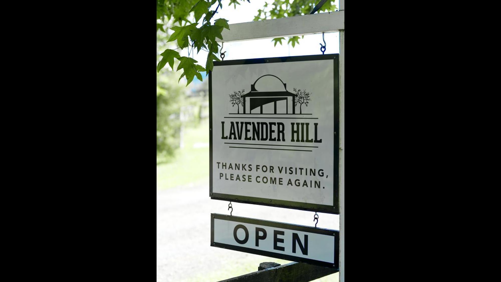 Bed and Breakfast Lavender Hill Riverhead Екстер'єр фото