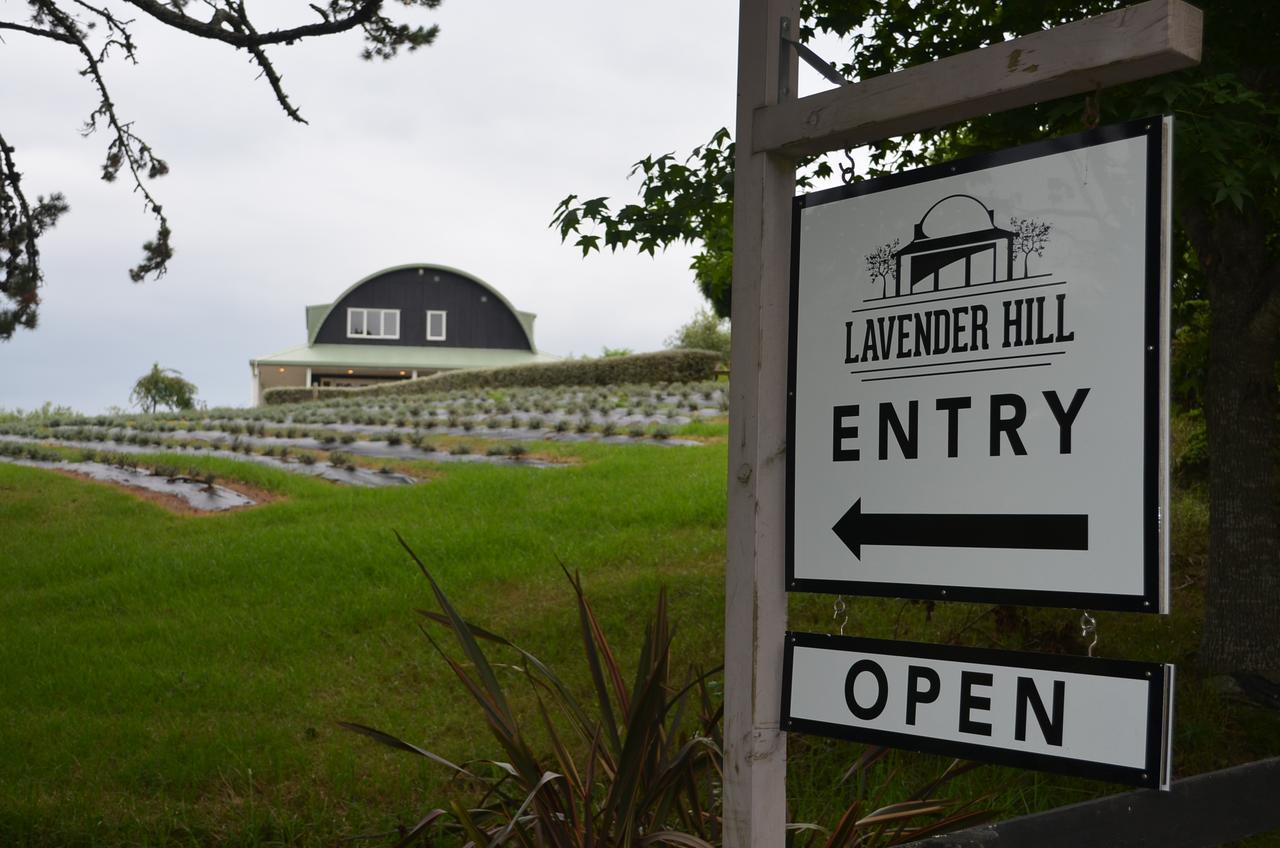Bed and Breakfast Lavender Hill Riverhead Екстер'єр фото
