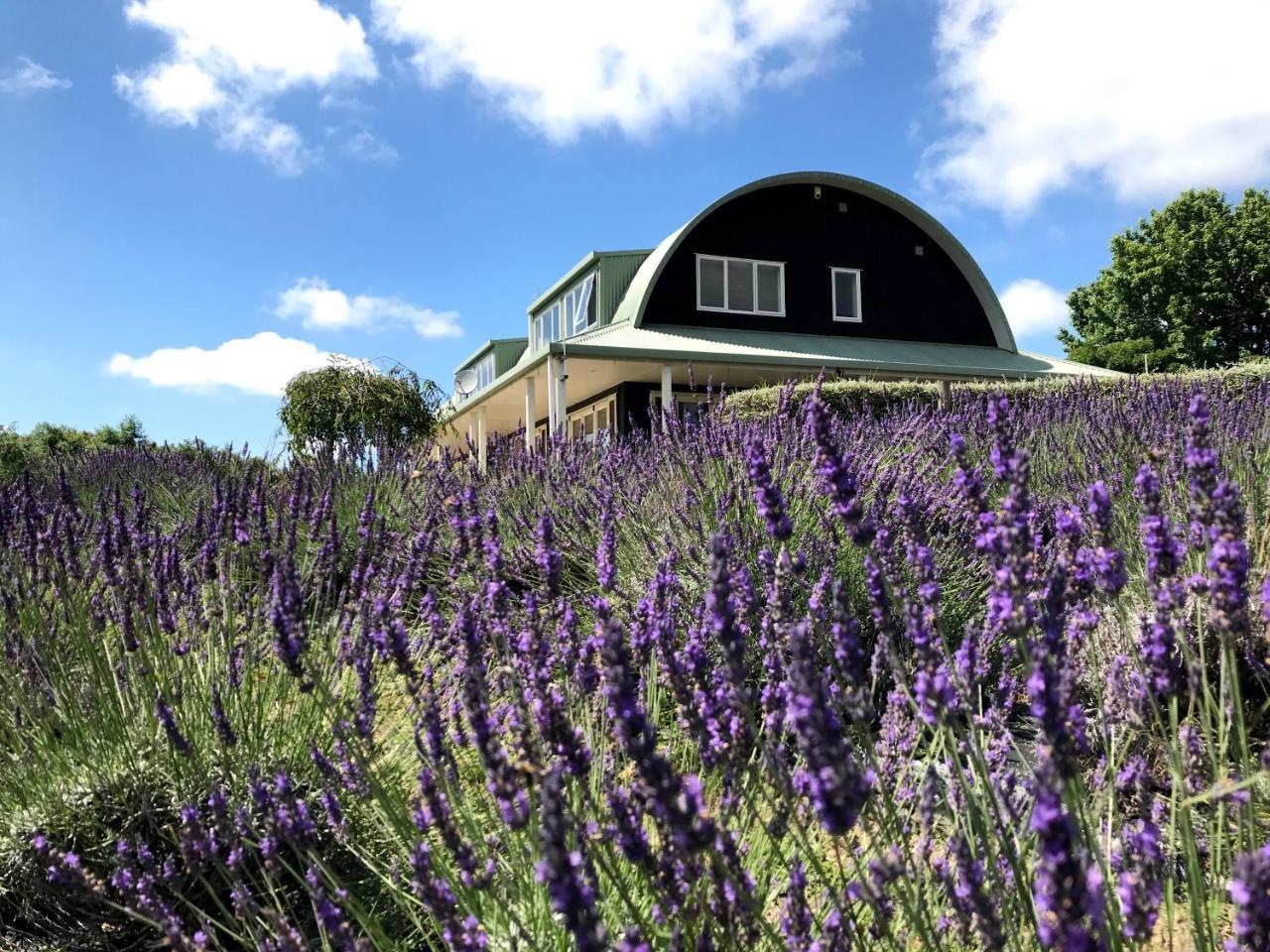 Bed and Breakfast Lavender Hill Riverhead Екстер'єр фото